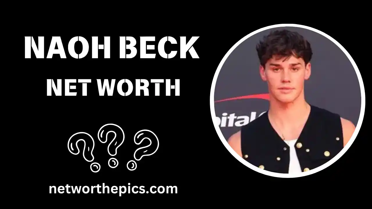 Noah Beck Net Worth